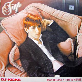 12  Tiga ‎– DJ-Kicks (Velmi dobrý stav (France, 2002, House, Experimental))