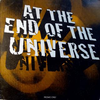 12  Various ‎– At The End Of The Universe (Promo) (Deska je hodně ohraná, vlásenky a oděrky. Nicméně hraje ok. Obal je pěkný.)