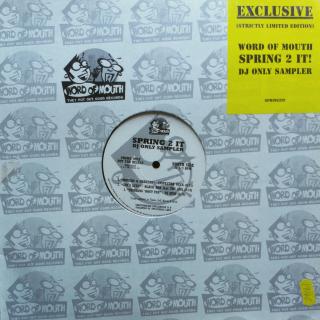 12  Various ‎– Spring 2 It Dj Only Sampler ((1999))