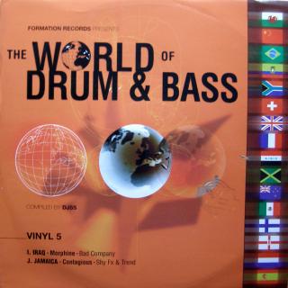 12  Various ‎– The World Of Drum &amp; Bass ((1999) DISK 5 Z PŮVODNÍHO 8LP)