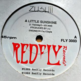 12  ZUSHii - A Little Sunshine (Deska lehce ohraná, jemné vlásenky. Obal také lehce obnošený (UK, 1989, Downtempo, R'n'B, Swingbeat))