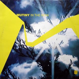 2x12  Mutiny ‎– In The Now (UK, 2001, House, Deep House)