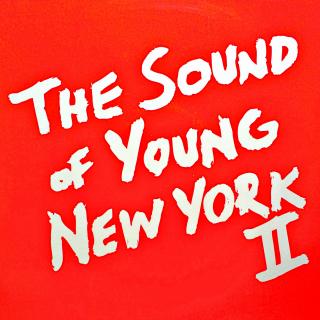 2x12  Various ‎– The Sound Of Young New York 2 (Velmi dobrý stav (Kompilace, USA, 2005, Leftfield, House, Electro))