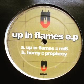 2x12  Various ‎– Up In Flames EP ((2002))