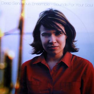 2xLP Deep Sensuous Ensemble ‎– Sounds For Your Soul (Velmi dobrý stav (Germany, 2002, House, Future Jazz, Deep House))