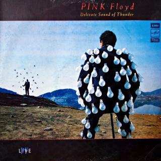 2xLP Pink Floyd ‎– Delicate Sound Of Thunder  (Zachovalý stav. Jen jemné vlásenky a pár otisků prstů.)