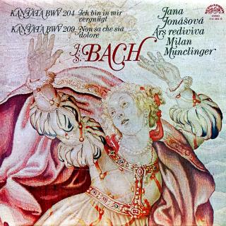 LP Bach, Jana Jonášová – Kantáta BWV 204 Ich Bin In Mir Vergnügt / Kantáta BW... (Včetně přílohy. Top stav i zvuk!)