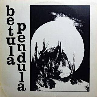 LP Betula Pendula ‎– Betula Pendula (Deska v pěkném stavu, jemné vlásenky. Obal také v dobré kondici.)