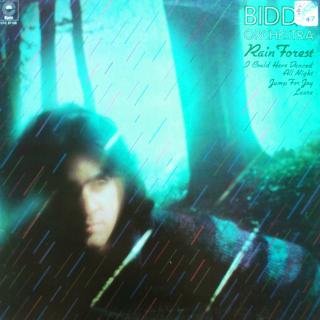 LP Biddu Orchestra ‎– Rain Forest (ALBUM (1976))