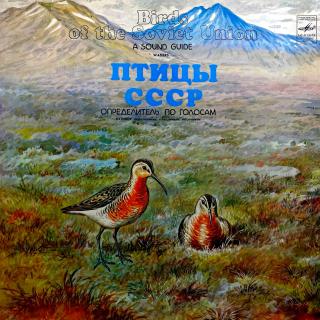 LP Birds Of The Soviet Union - A Sound Guide (Deska i obal jsou v bezvadném, lesklém a krásném stavu.)