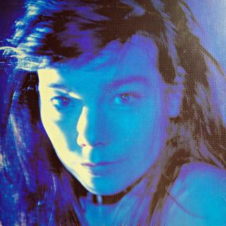 LP Björk ‎– Telegram (Deska je ohraná s vlásenkami a drobnými oděrkami. Hraje ok, ale je slyšitelný praskot v ambientních pasážích. Obal je v pěkném stavu.)