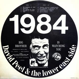 LP David Peel &amp; The Lower East Side ‎– 1984 (Na desce je několik povrchových škrábanců. Nicméně hraje ok, jen místy mírný praskot v záznamu. Obal v perfektní kondici.)