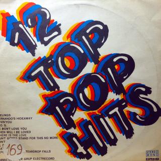 LP Formația Super Grup Electrecord, Dirijor: Dan Mîndrilă ‎– 12 Top Pop Hits (Deska je trochu ohraná, vlásenky a jemné povrchové oděrky. Hraje dobře, mírný praskot v záznamu. Obal je lehce obnošený.)