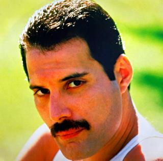 LP Freddie Mercury – Mr. Bad Guy (čtěte popis) (Chybí vnější obal. Má pouze vnitřní obal s portrétem a texty viz fotky. Ten je v krásném a lesklém stavu. Deska je taky v krásném a lesklém stavu, jen pár ultra-jemných vlásenek. Hraje perfektně, výborný a č