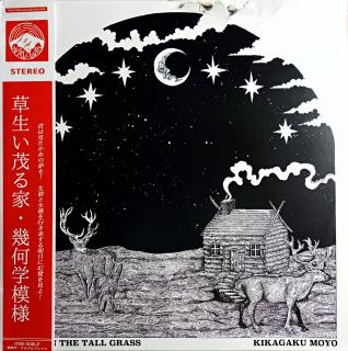 LP Kikagaku Moyo ‎– House In The Tall Grass (Červený průsvitný vinyl. Limited Edition (500 kusů). Deska je v krásném stavu. Obal je natržený viz foto.)