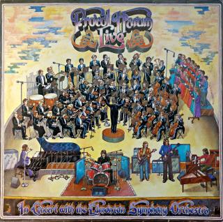 LP Procol Harum ‎– Live - In Concert With The Edmonton Symphony Orchestra (Deska mírně ohraná, hodně jemných vlásenek, ale zvuk ok. Pouze jemný praskot v záznamu. Obal lehce obnošený, obroušené hrany.)