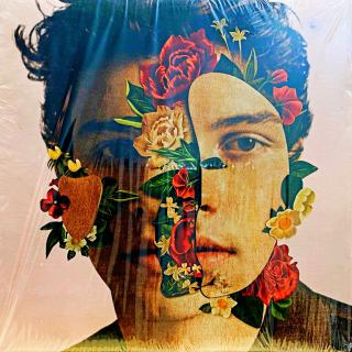 LP Shawn Mendes – Shawn Mendes (Červený transparentní vinyl. Včetně přílohy. Deska je v bezvadném a lesklém stavu, pravděpodobně nehraná. Na čelní straně obalu vpravo nahoře je malá nečistota viz foto, kromě toho perfektní stav.)