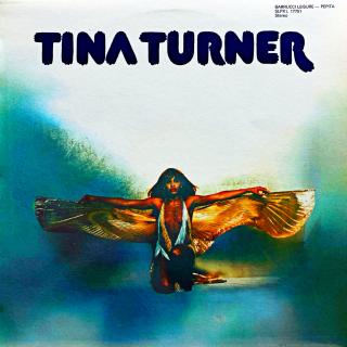 LP Tina Turner – Tina Turner (Deska je mírně ohraná. Jemné vlásenky i velmi jemné, drobné povrchové oděrky. Hraje fajn, velmi dobrý zvuk, jen mírný praskot mezi skladbami. Obal je lesklý a v perfektní kondici.)