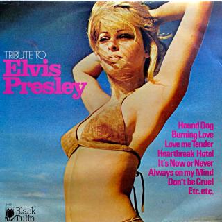 LP Unknown Artist ‎– Tribute To Elvis Presley (Deska je hodně ohraná, posetá jemnými vlásenkami i několik povrchových škrábanců. Nicméně hraje dobře, jen mírný praksot v záznamu. Obal v dobrém stavu, jen lehké stopy používání.)