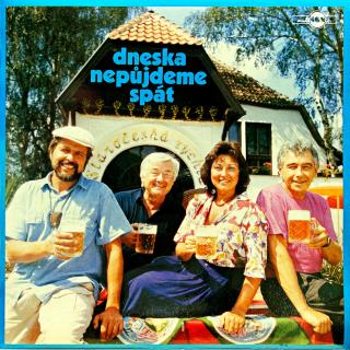 LP Various – Dneska Nepůjdeme Spát (Hospodské Písničky) (Top stav i zvuk!)