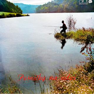 LP Various – Pesničky Na Udici (Pěkný stav i zvuk.)