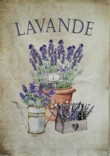 LAVANDE