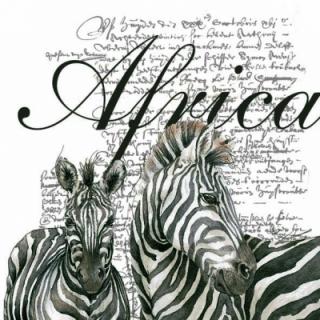 Africa, texty, zebry