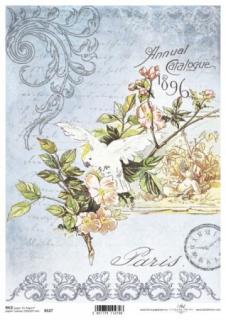 Papoušek, kytka, ornament, hodiny