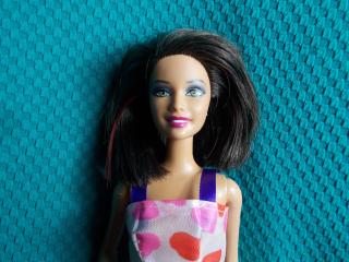 Barbie Fashionistas brunetka