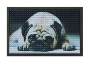 Rohožka - Mops