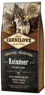 Carnilove Dog Reindeer for Adult