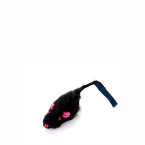 Myška pro kočku