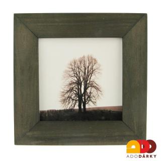 Fotografie dvou stromů v dřevěném rámečku (Sépiová fotografie se silnou atmosférou)