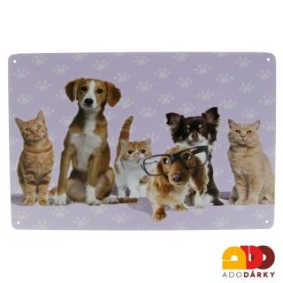 Plechová cedule "Psi a kočky"  20 x 30 cm (Plechová cedule  pro milovníky psů a koček)