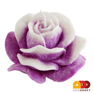 Svíčka růže Borůvka a vanilka Ø 12 cm (Květ růže z vosku)