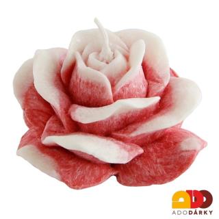 Svíčka růže Černá višeň Ø 12 cm (Květ růže z vosku)