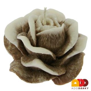 Svíčka růže hnědá Ø 12 cm (Květ růže z vosku)