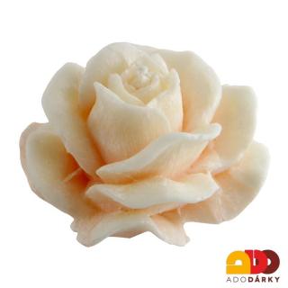 Svíčka růže krémová  Ø 12 cm (Květ růže z vosku)