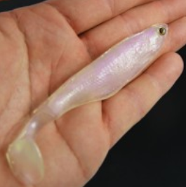 RYVALURES -SYMPHONY PEARL (IRIDESCENT)PURPLE 20G