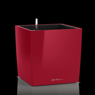 Lechuza Cube Premium 40 (kompletní set) - scarlet