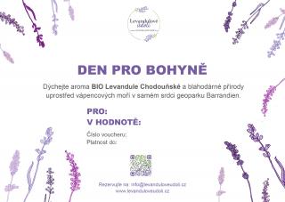 Den pro bohyně  pro jednu osobu / 1 den Voucher: Elektronický voucher