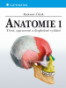 Anatomie 1 - , 1 ks