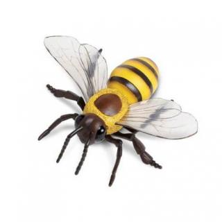 Včela medonosná model (Autentický zvětšený model včely medonosné)