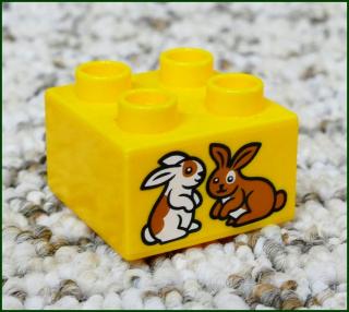 Lego® Duplo® Kostka 2x2 Světle Oranžová - Králíci (Lego® Duplo®)