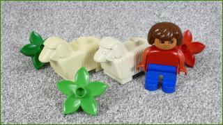 Lego Duplo ovečky - horší oči, květiny a figurka