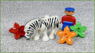 Lego Duplo zebra, květiny a figurka