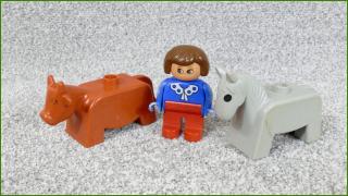 Lego Duplo zvířátka - horší stav