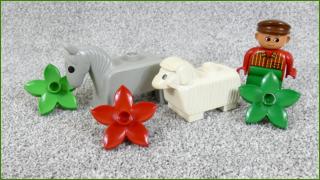 Lego Duplo zvířátka s figurkou a květinami
