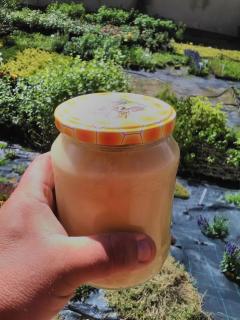 Med květovo třešňový (sklenice 980 g)