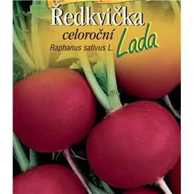 Ředkvička celoroční  'LADA'